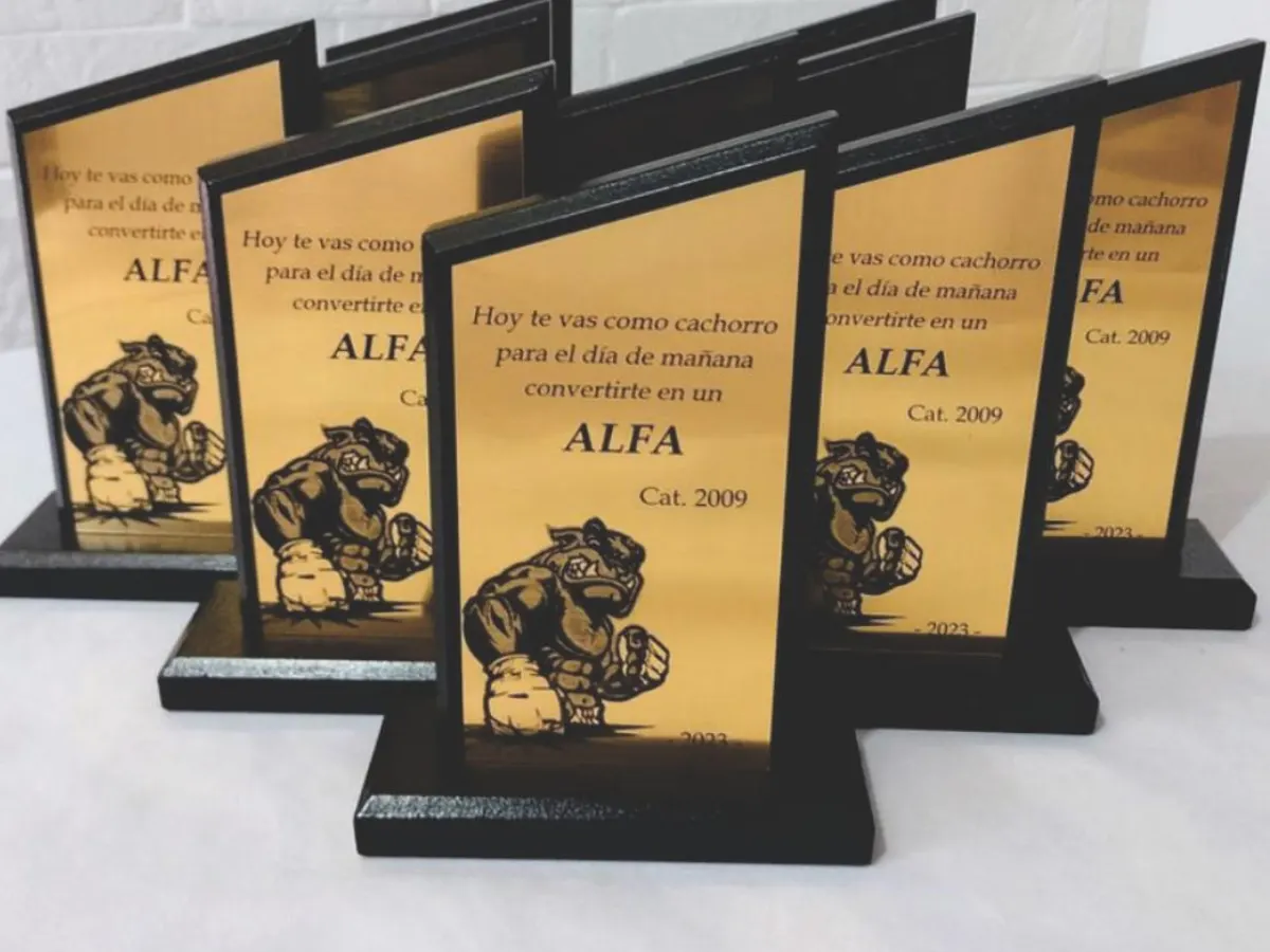 Trabajo personalizado en láser 4